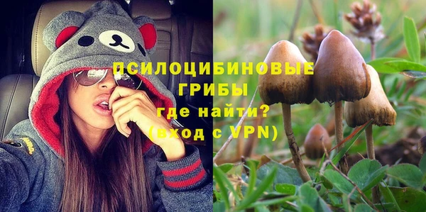 тгк Алзамай