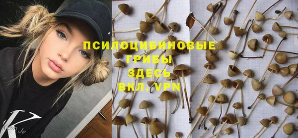 тгк Алзамай