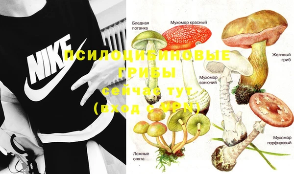 шишки Алексеевка