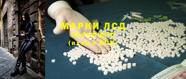 тгк Алзамай