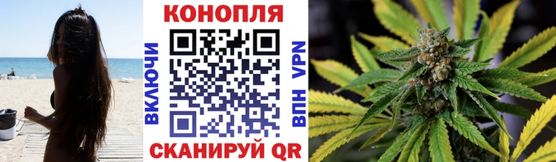 Бошки марихуана сатива  Апатиты 